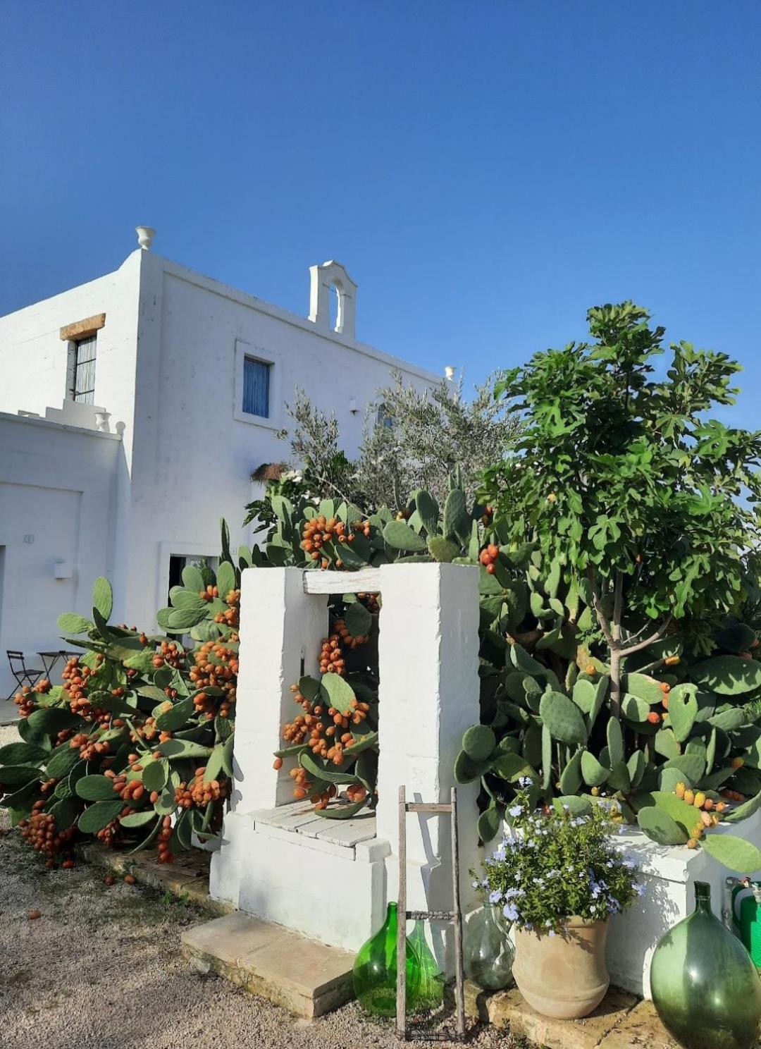 Masseria Fulcignano غالاتوني المظهر الخارجي الصورة