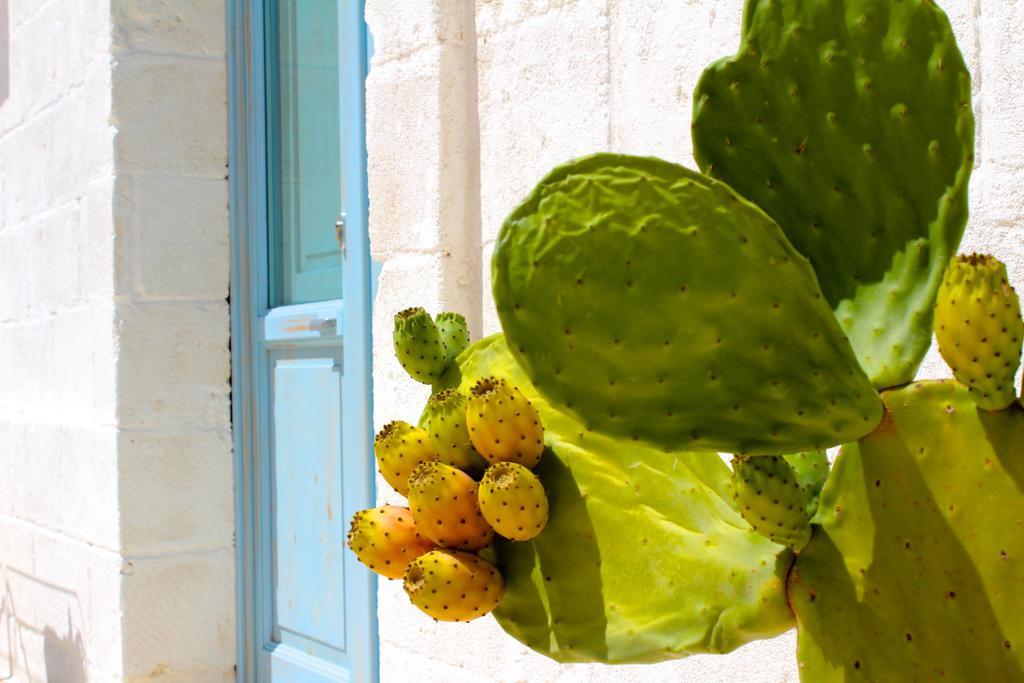 Masseria Fulcignano غالاتوني المظهر الخارجي الصورة