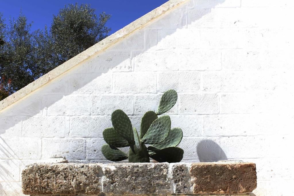 Masseria Fulcignano غالاتوني المظهر الخارجي الصورة