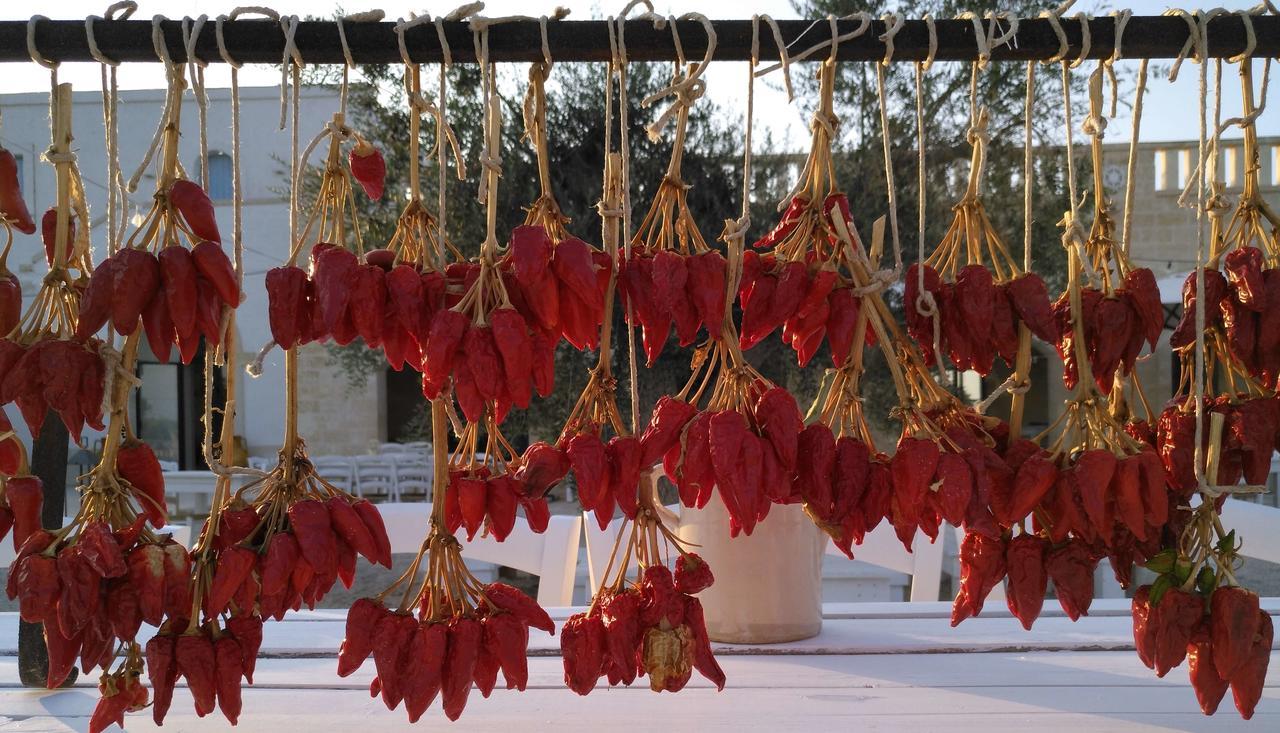 Masseria Fulcignano غالاتوني المظهر الخارجي الصورة